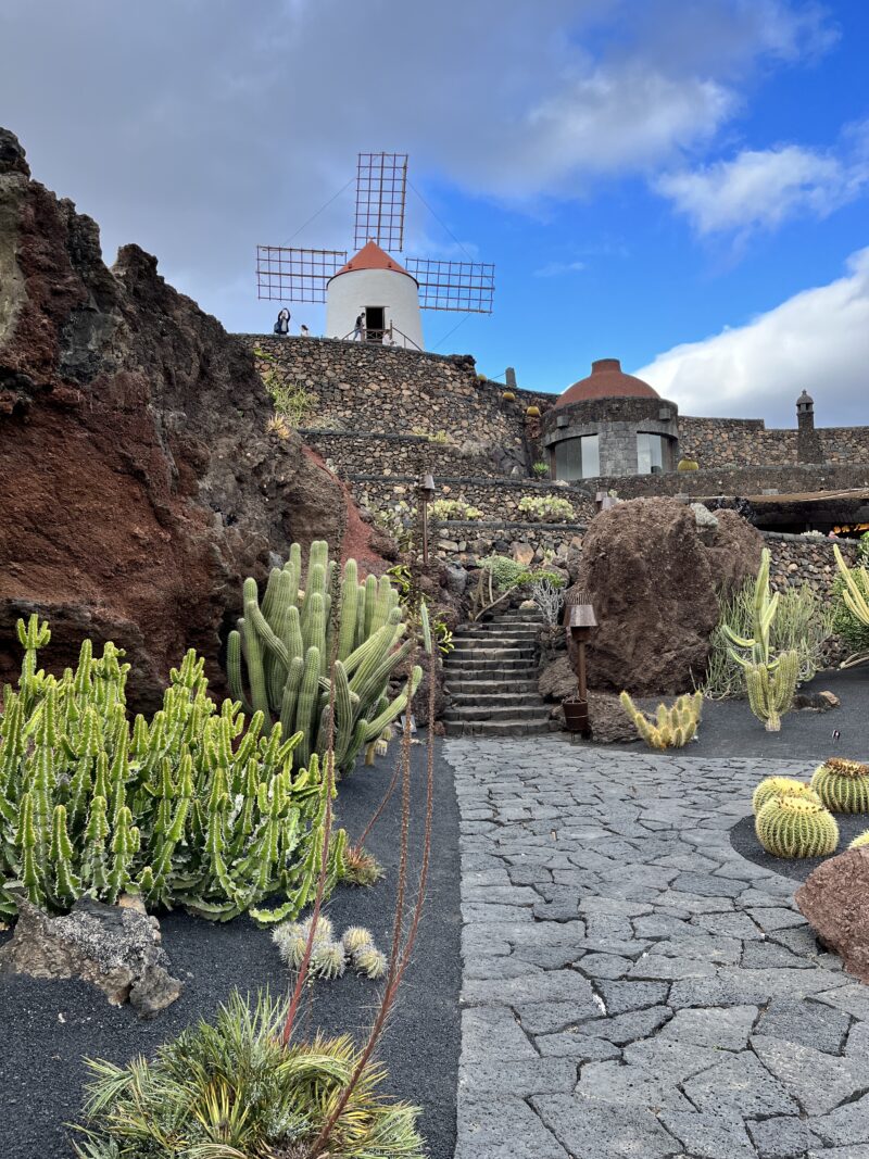 Jardin de Cactus